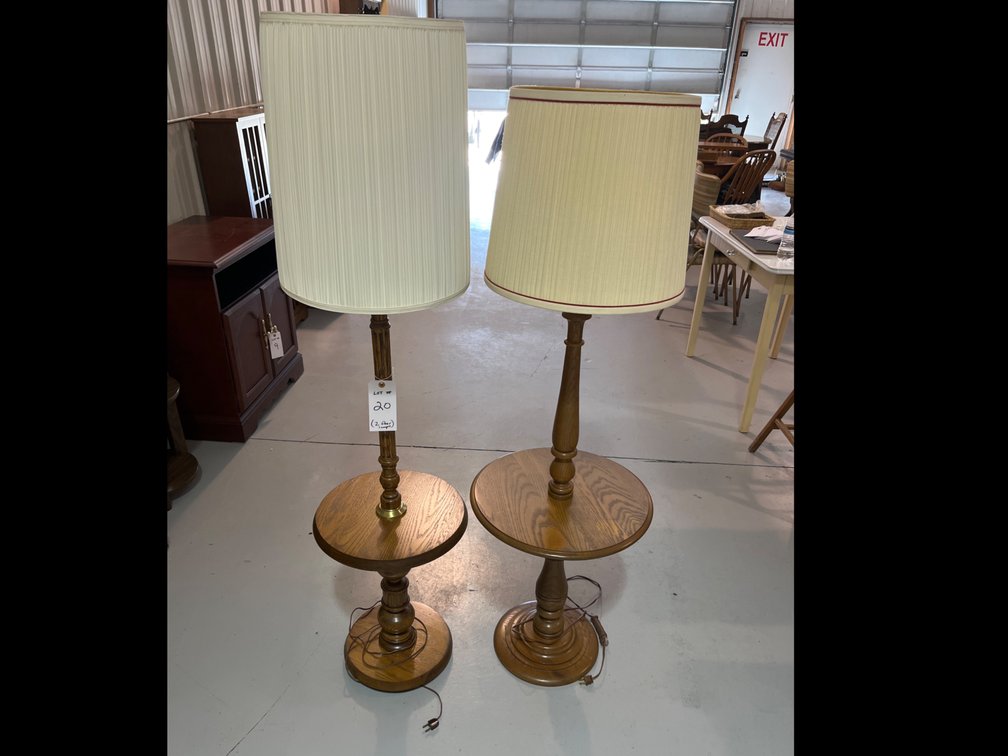 2 Floor Lamps