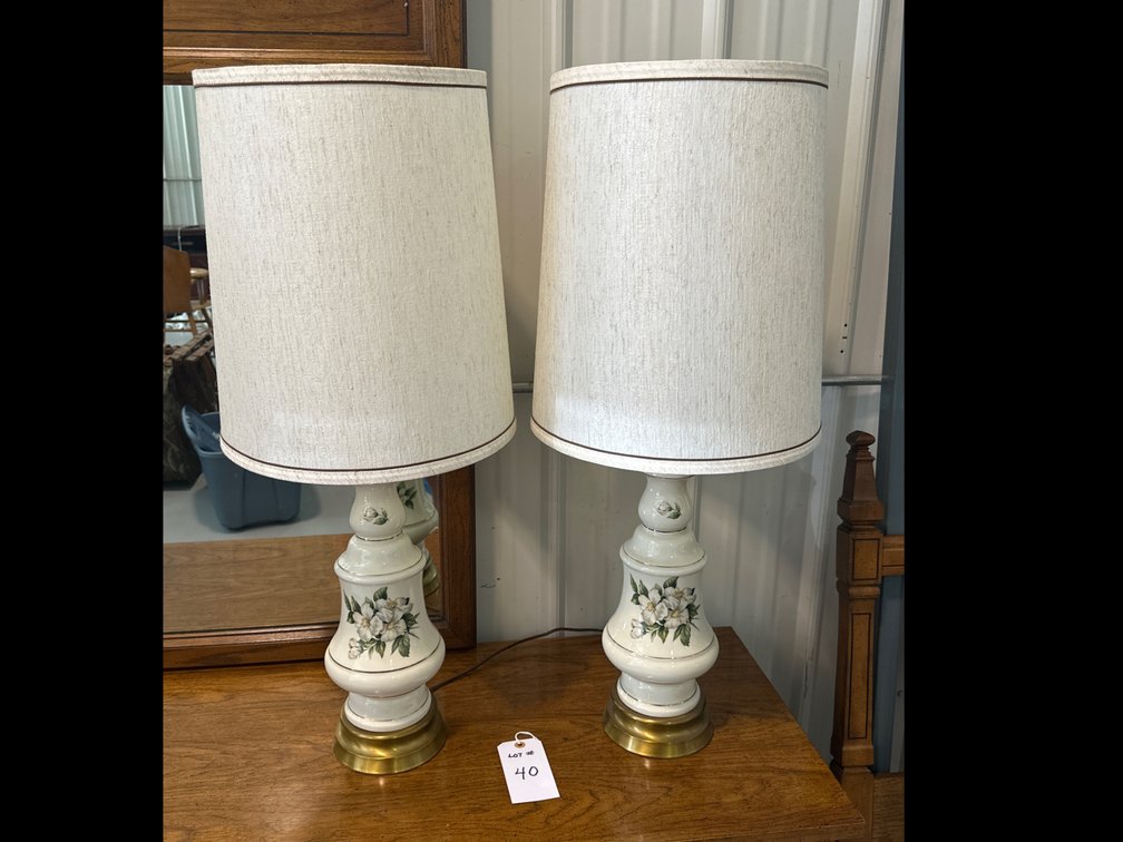 Pair of hand painted lamps
