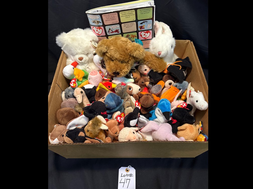 Ty Beanie Babies and Collectors Book