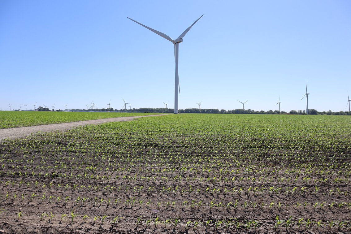 Image for Higgins Family Farm LLC