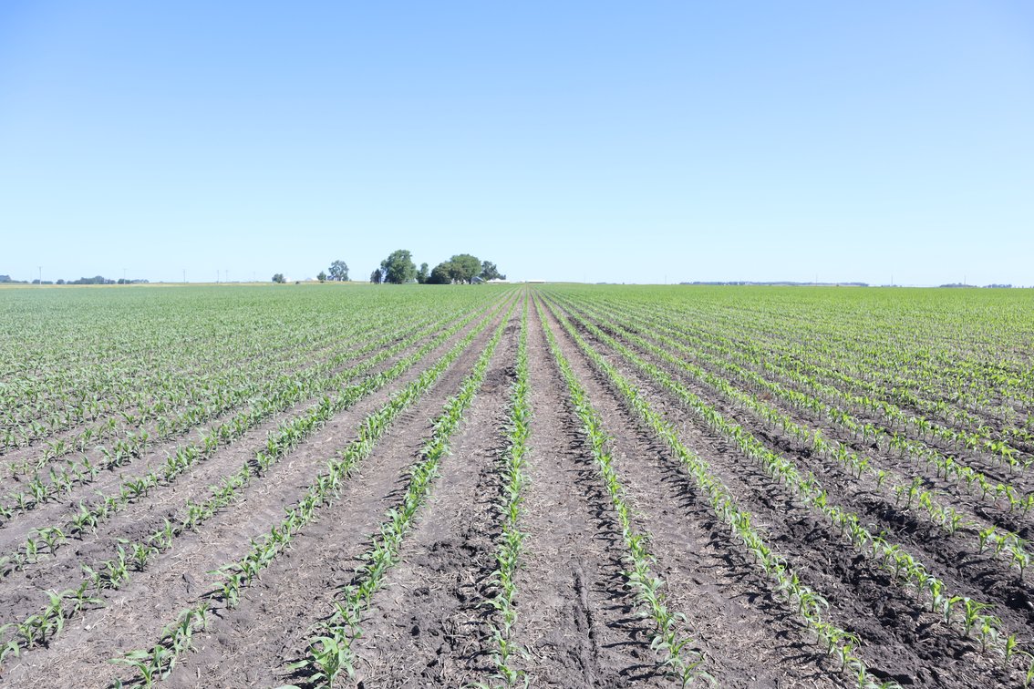 Image for Higgins Family Farm LLC
