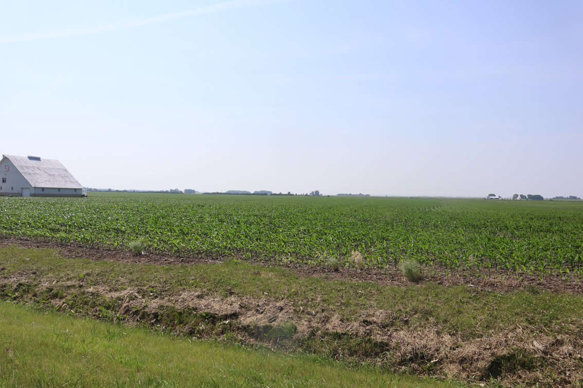 Image for Blanchflower Farmland Auction