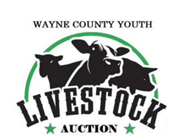 Image for Wayne County Fair 4H Livestock Auction - LIVE