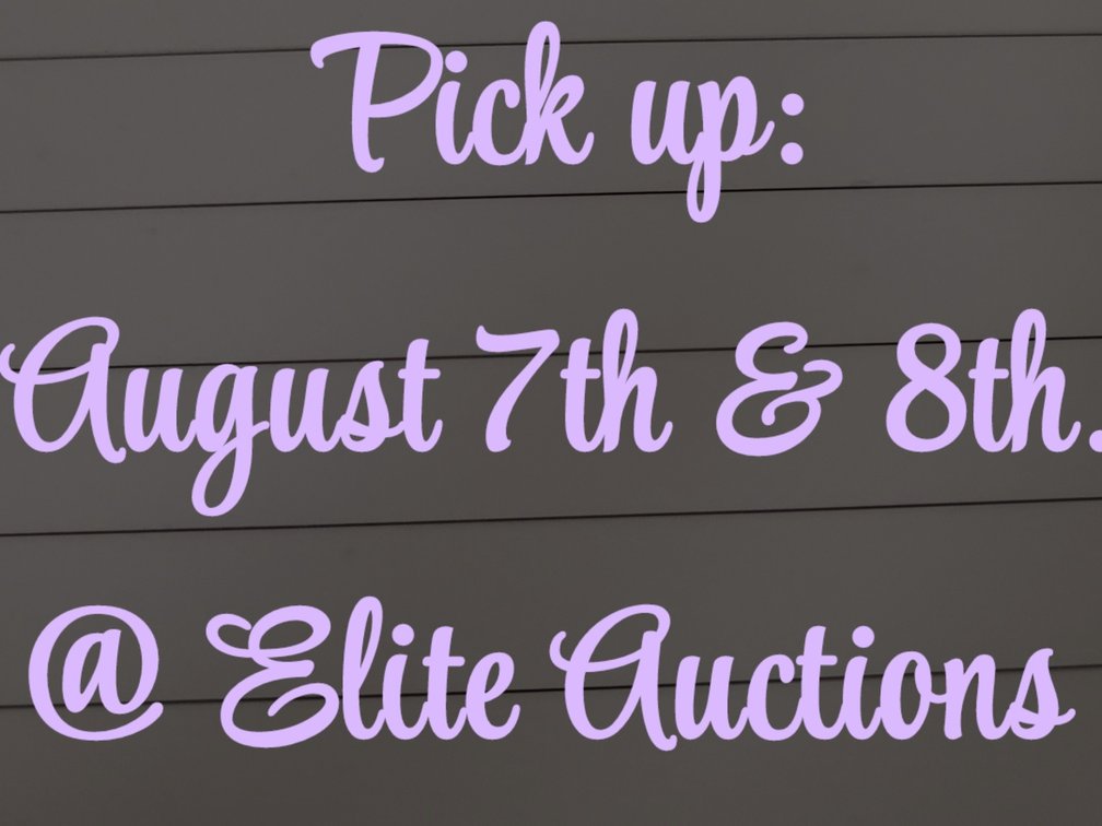 Image for Benefit Auction For Rylee Kramer
