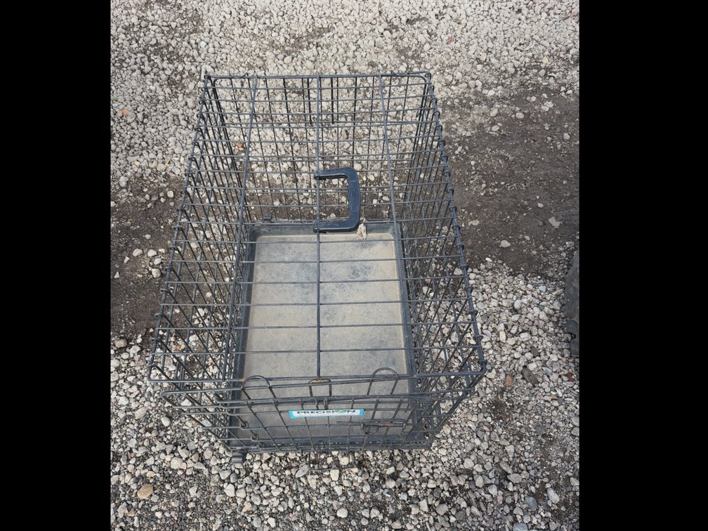 Dog Kennel