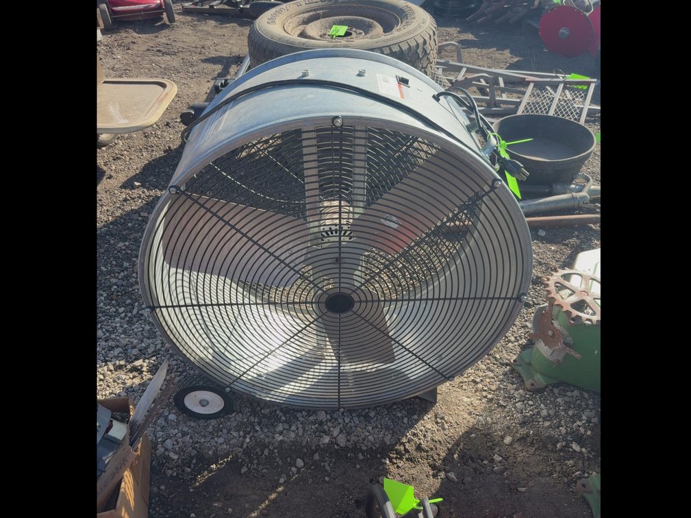 Fan