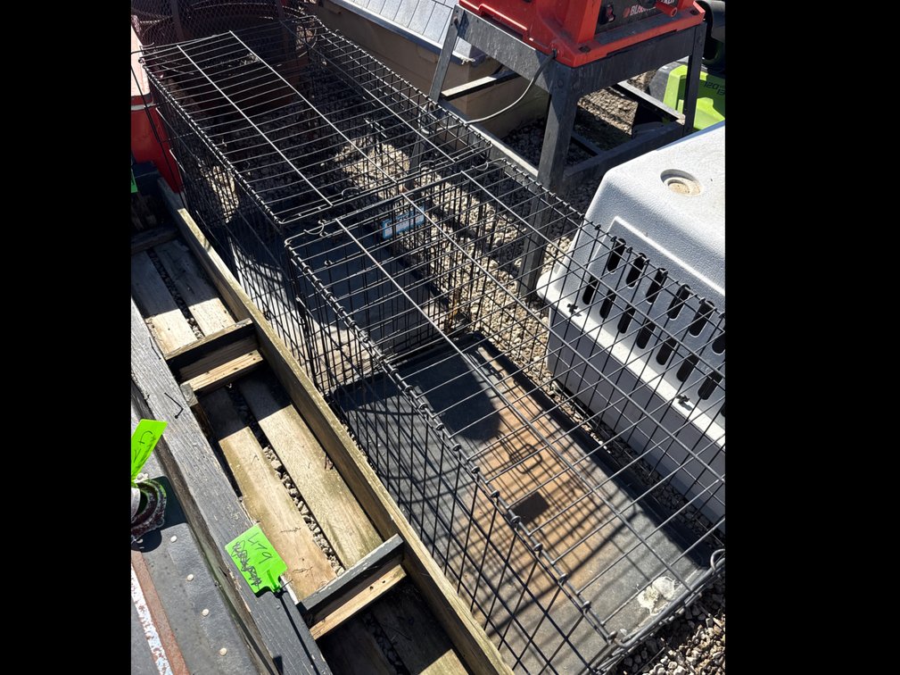 Two wire dog kennels
