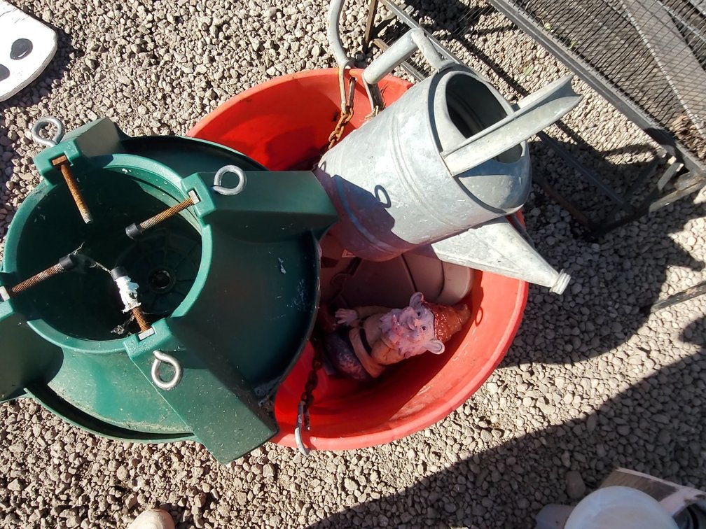 Tub w tree stand, gnome, sprinkler can etc
