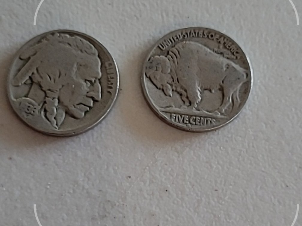 (40) Buffalo nickels
