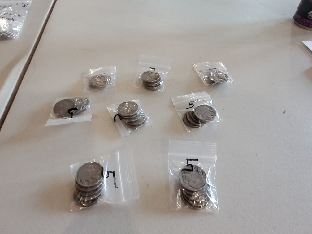 (40) Buffalo nickles