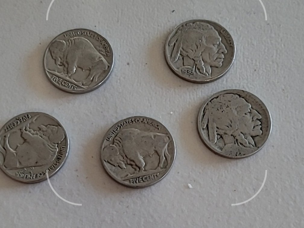 (30) Buffalo Nickles