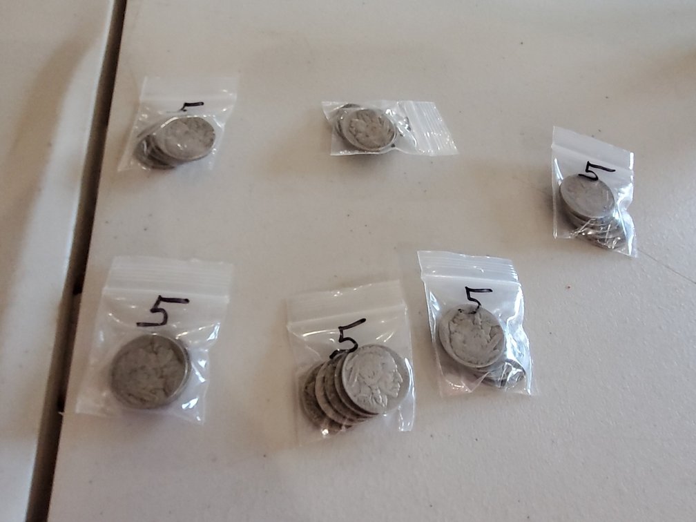 (30) Buffalo Nickles