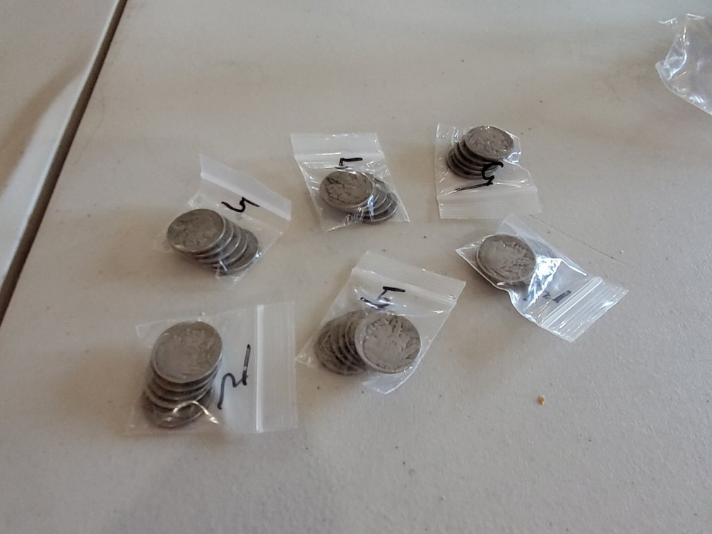 (30) Buffalo Nickles