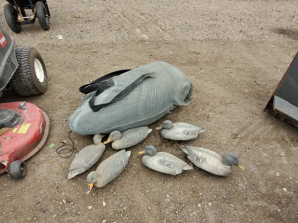 Duck Decoys/ goose decoys