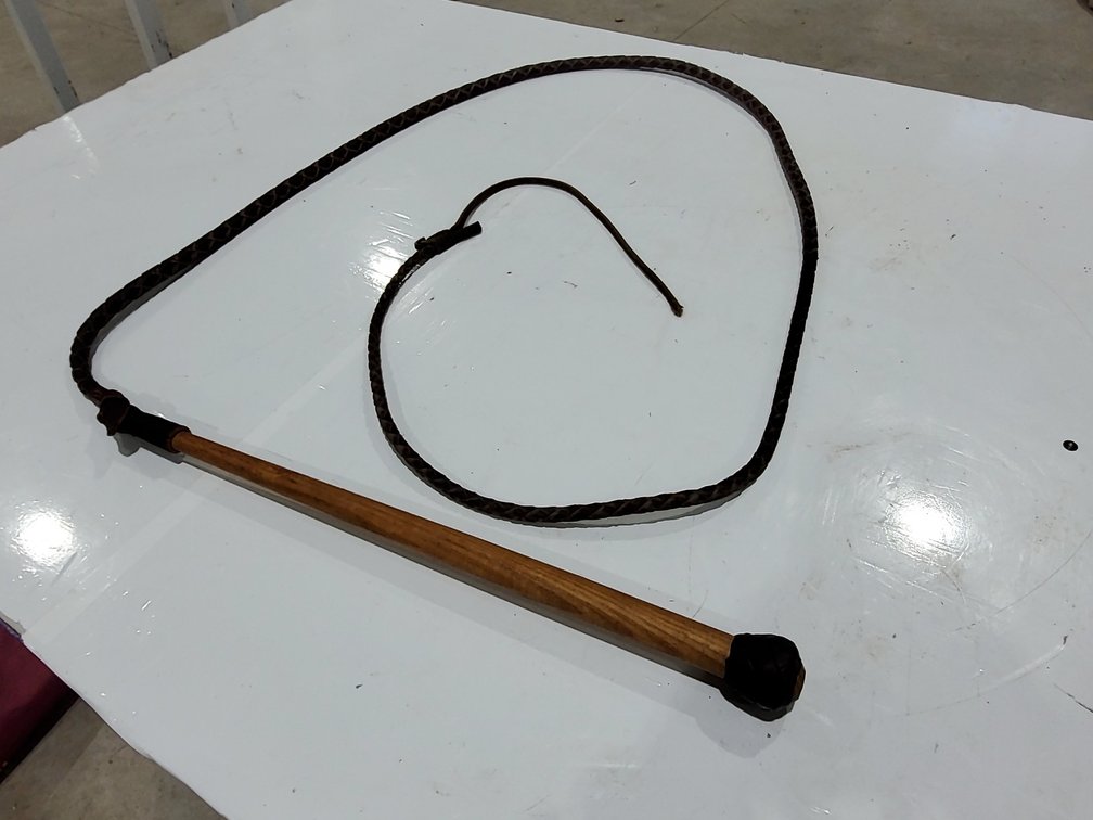 Bull whip
