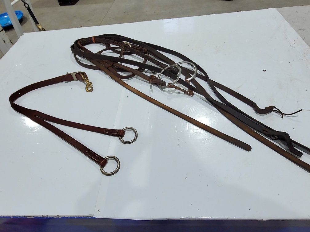 Leather headstall, reins, twisted snaffle