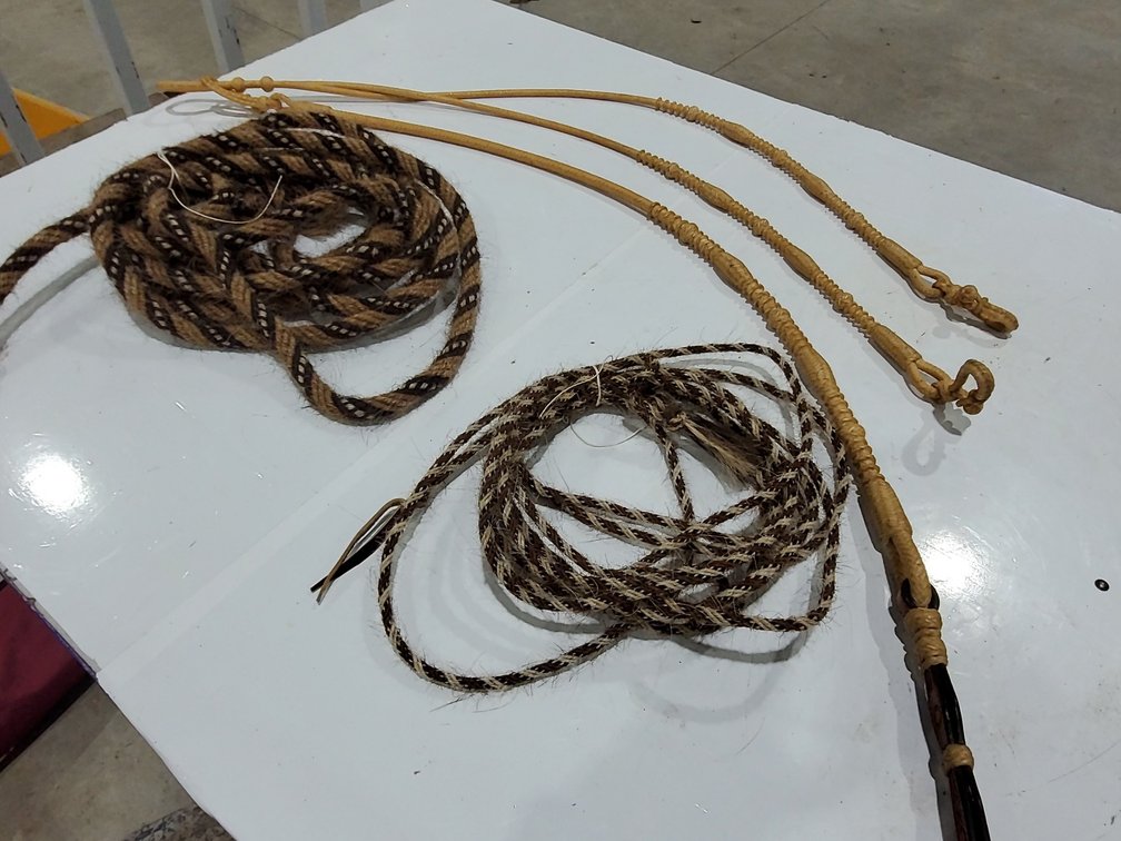 Horse hair reins and Roman reins