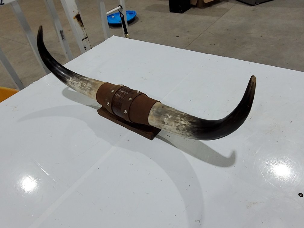 26" bull horns