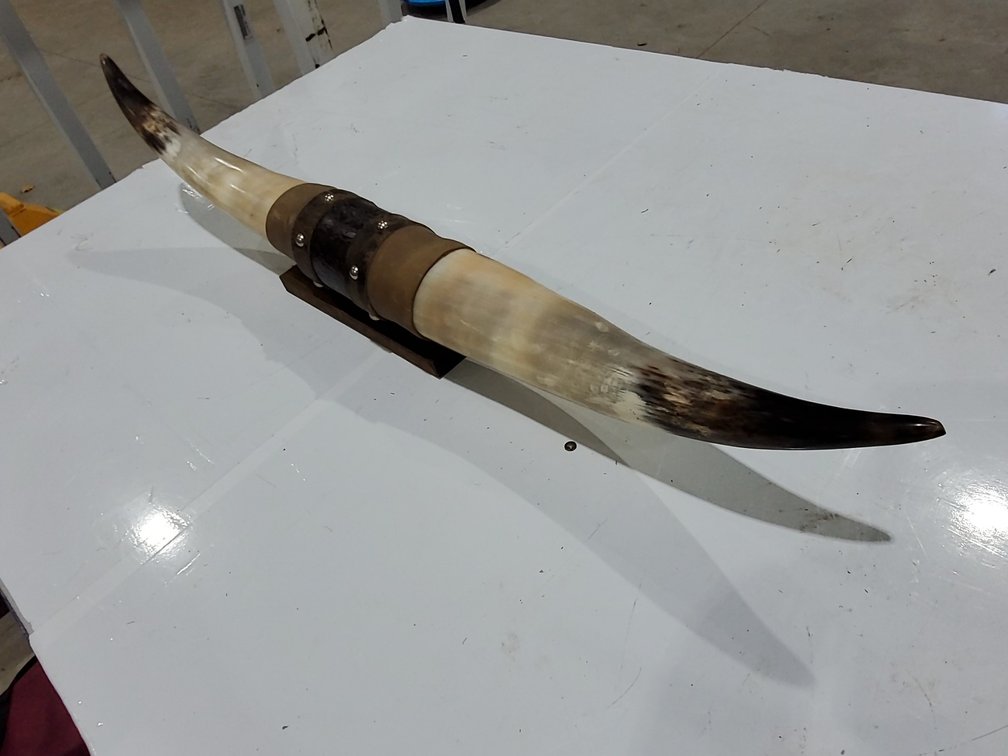 34" bull horns