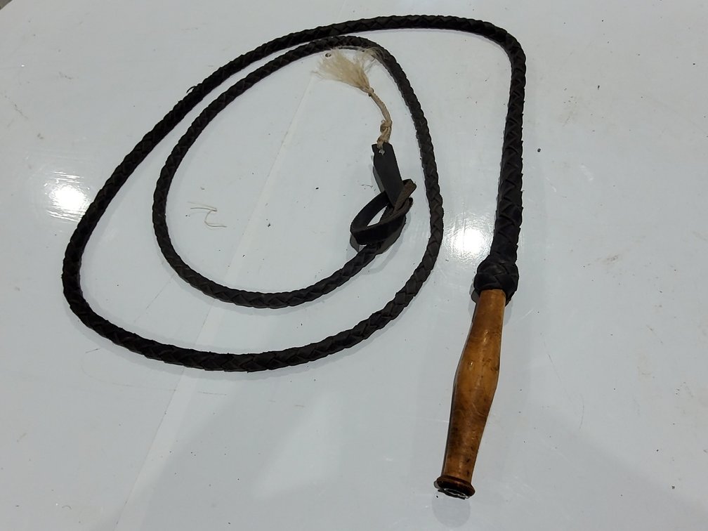 Bull whip