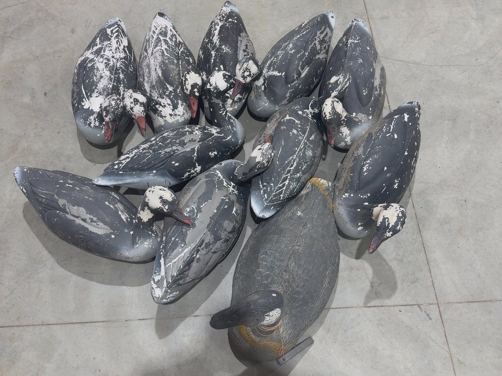 11 Geese Decoys