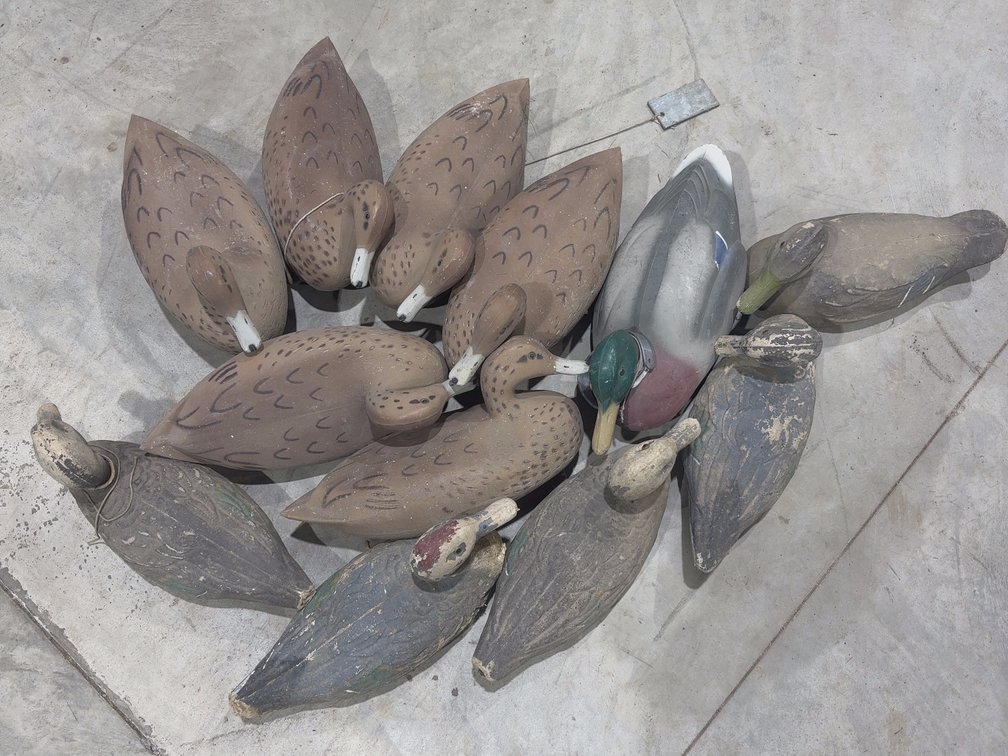 12 Duck Decoys