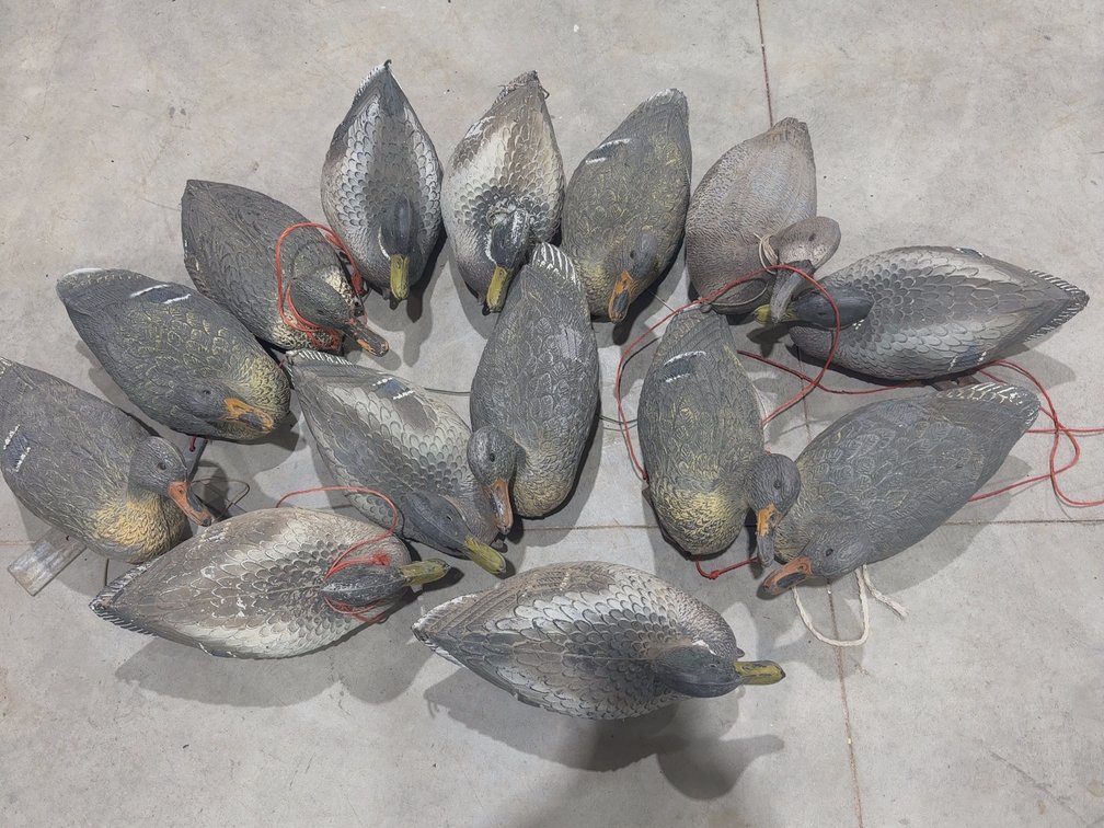 14 Duck Decoys