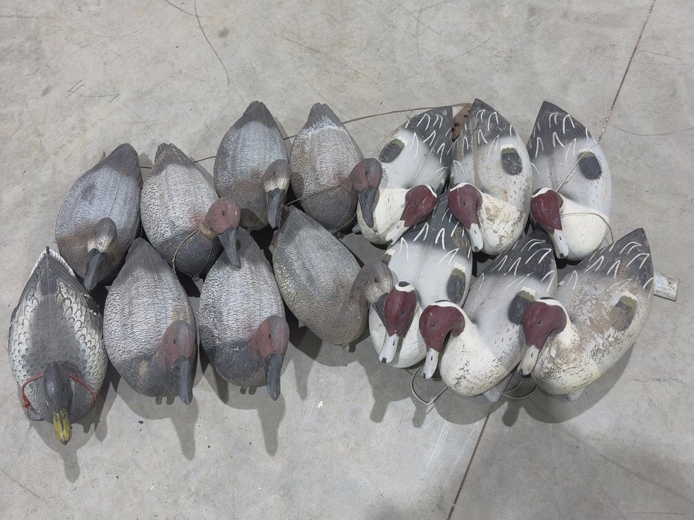 14 Duck Decoys