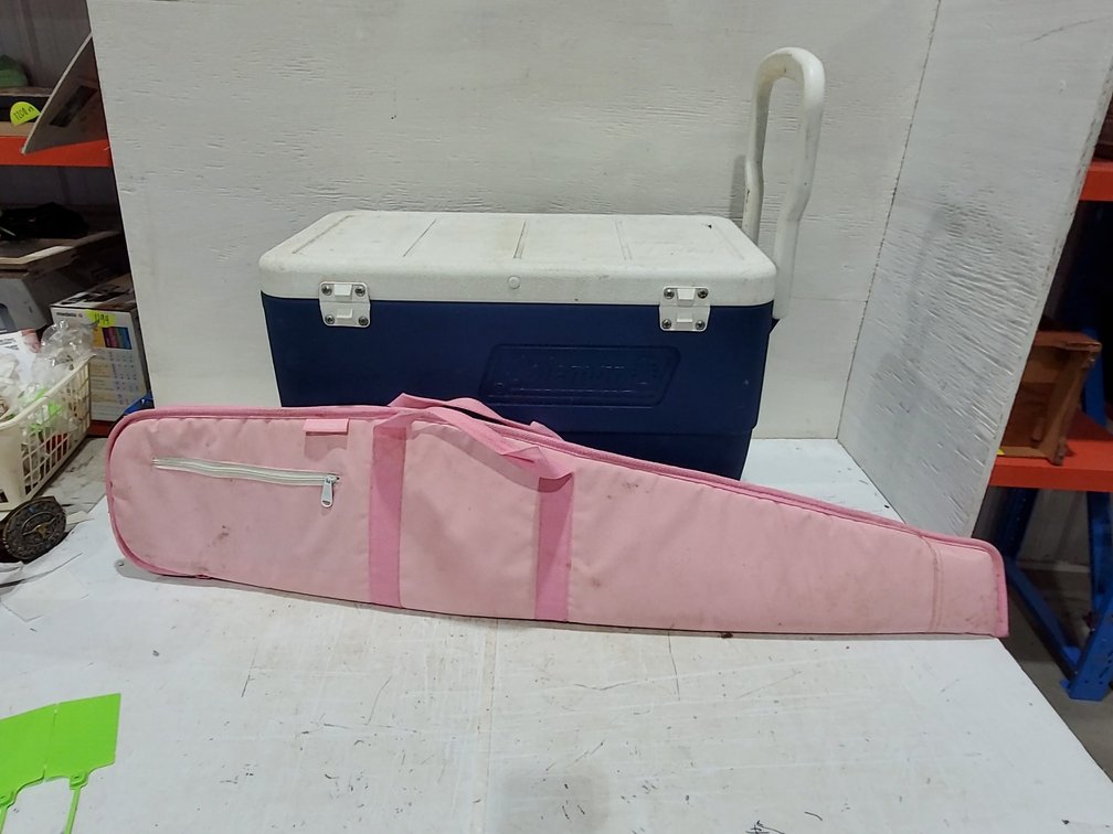 Cooler & soft gun case