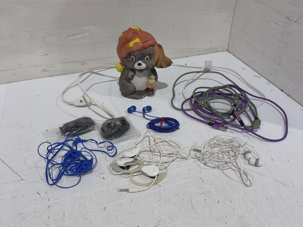 Night light, charging cords, earbuds