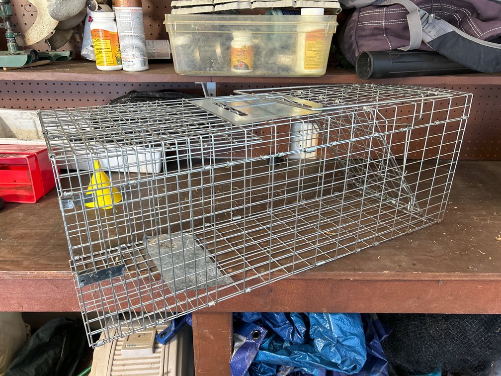 Hav-A-Heart Humane Trap