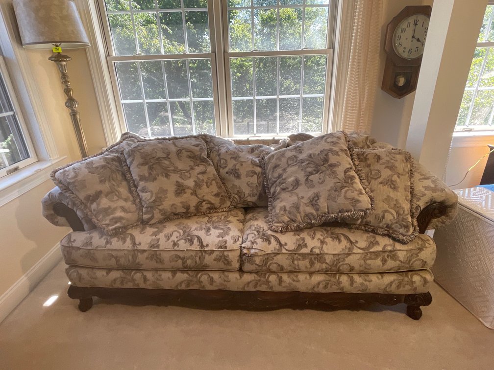 Schnadig Sofa with Throw Pillows