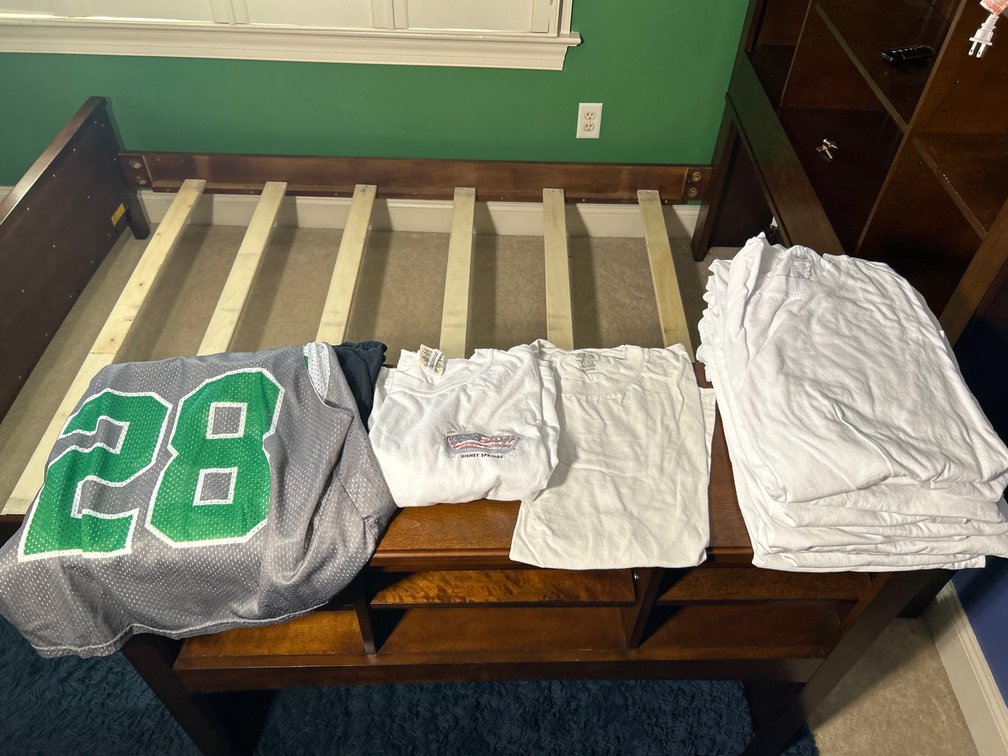 Men's Shirts- #28, Too Cute, Disney Springs, 10 Kirkland T-Shirts, All Size L