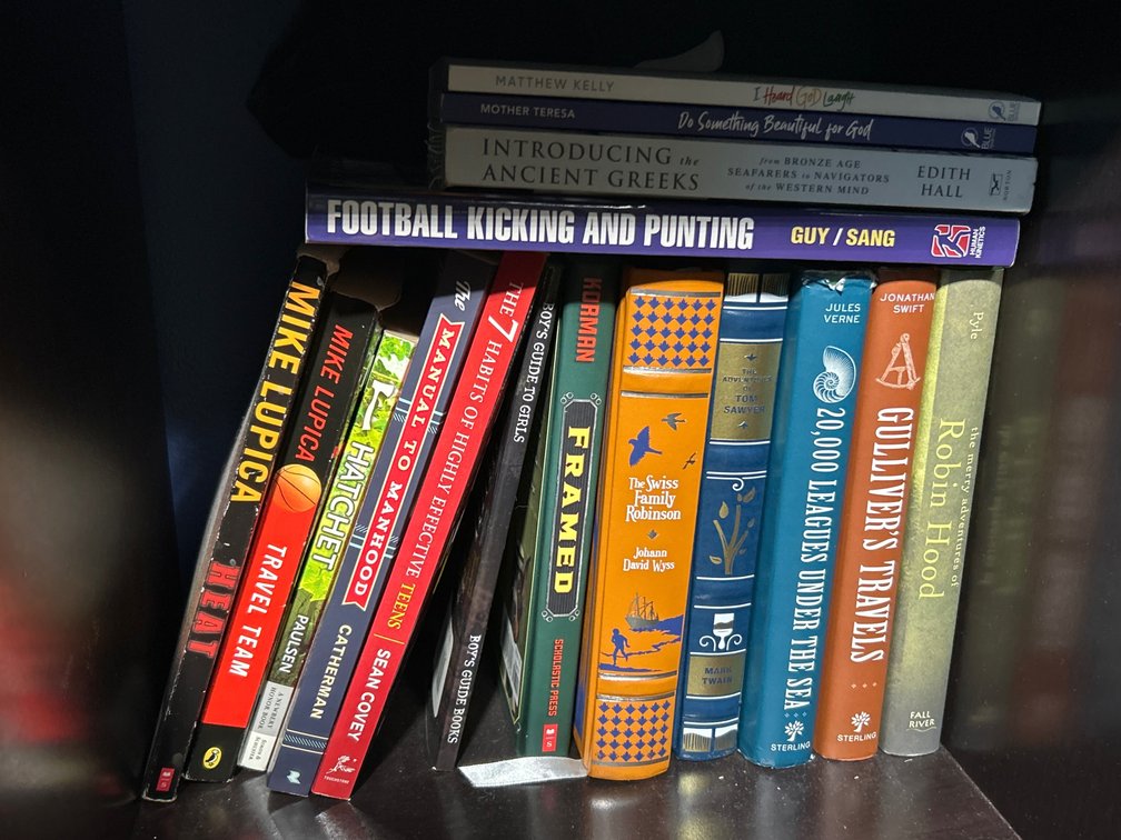 Books Lot- Fiction & Non-Fiction Titles, Some Classics Included