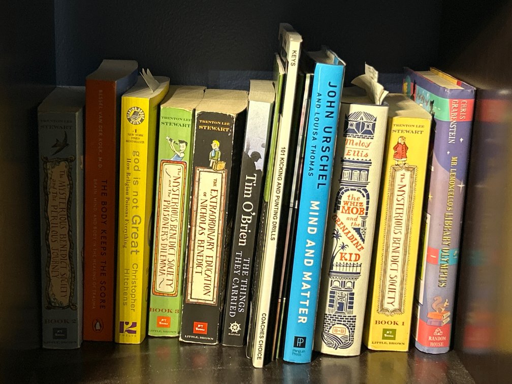 Books Lot- Fiction & Non-Fiction Titles