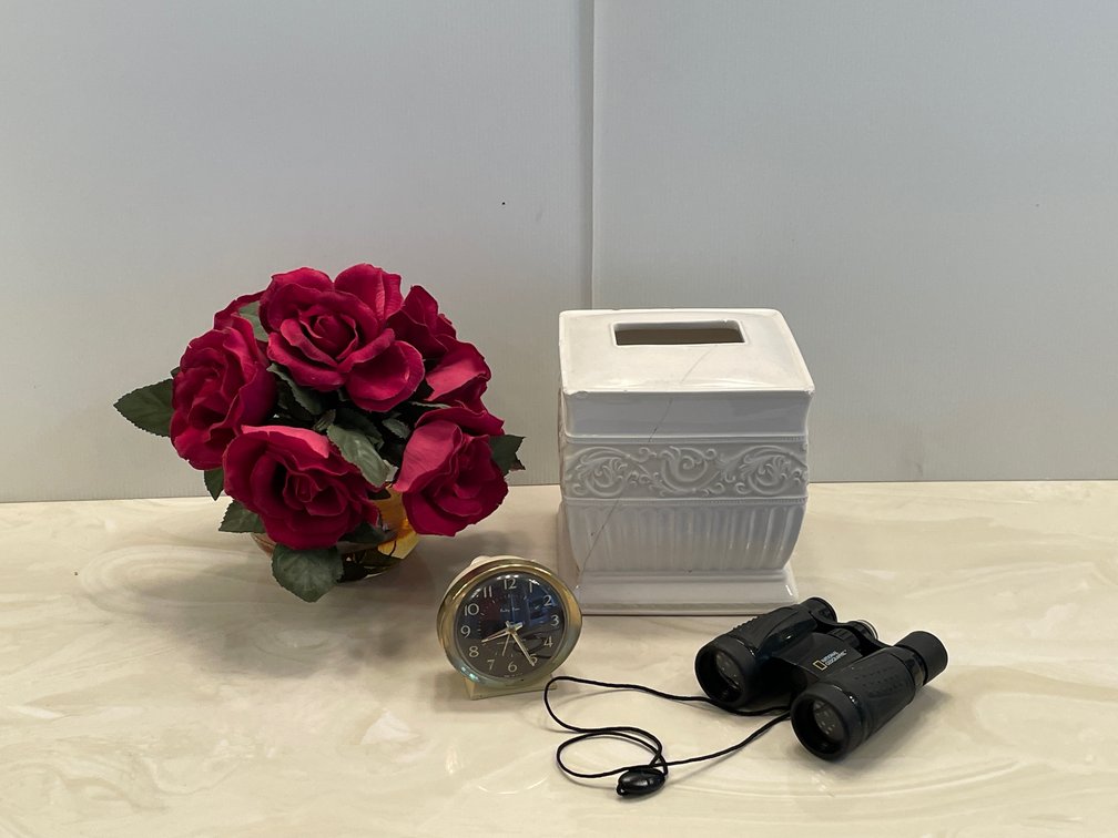 Artificial Rose Arrangement, National Geographic Binoculars, Westclock Baby Ben Clock