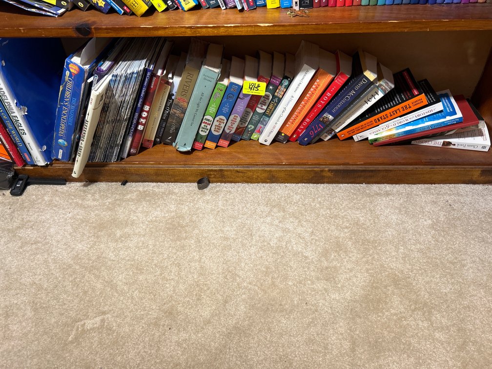 Books Lot- Fiction & Non-Fiction Titles