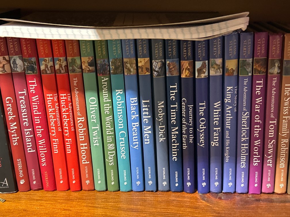 Books Lot- Fiction & Non-Fiction Titles