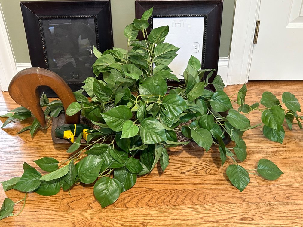 2 Black Wood Frames, Wooden Goose Planter with Artificial Greenery