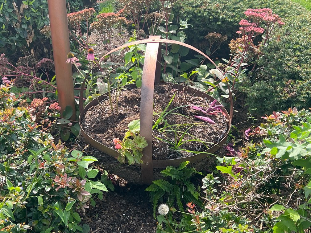 Metal Orb Planter with Small Begonia Plant