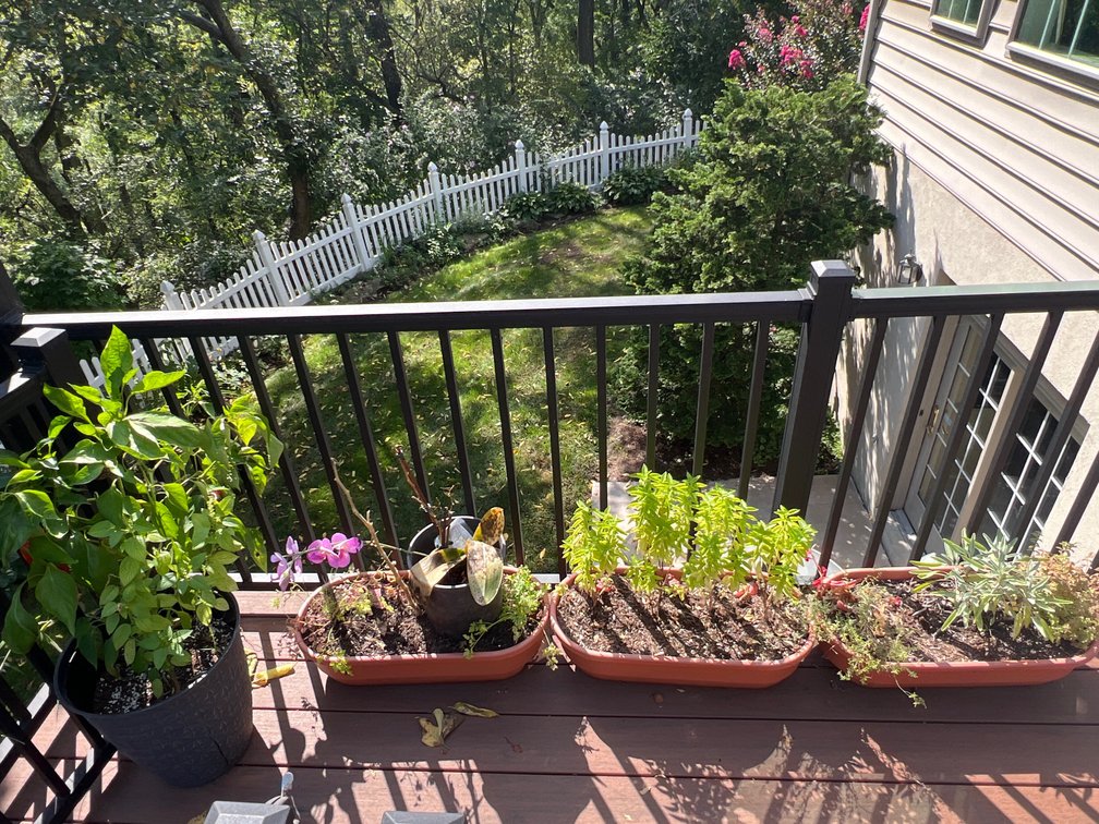 Planters Lot