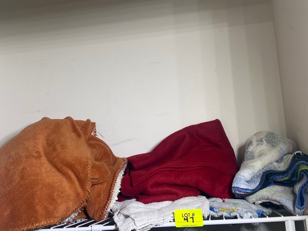 Closet Lot- Towels, Red Fleece Blanket, Minky Blankets