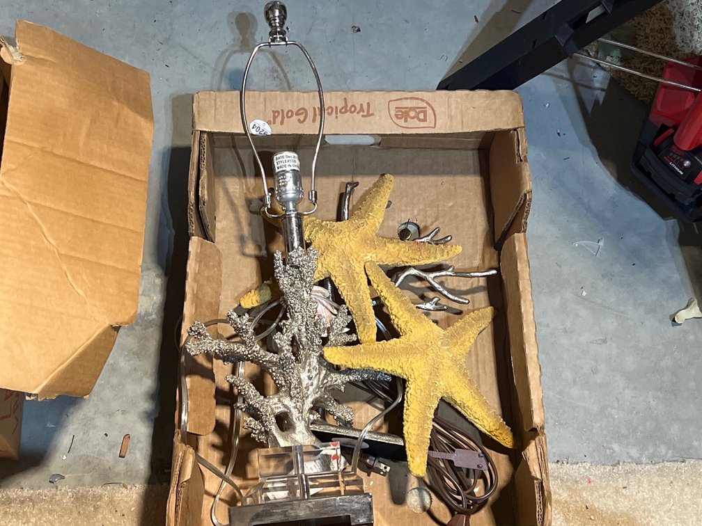 Table Lamp with Silver Coral Base, Starfish, Other Coral Forms