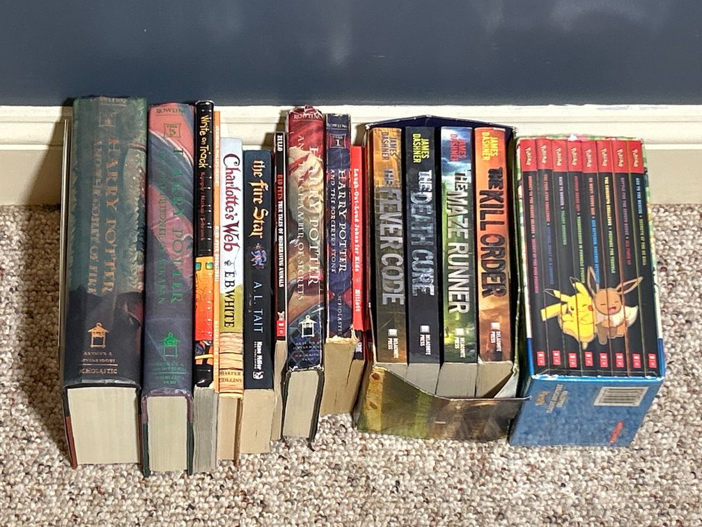 Young Readers Books Lot