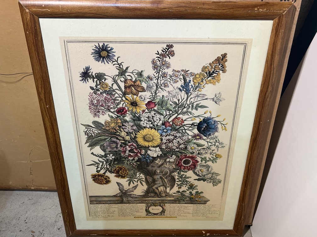 Framed Colored Floral Print "Winter"