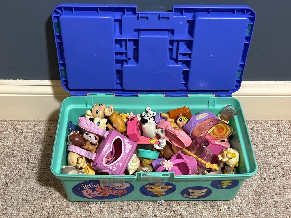 Plastic Hinged Lid Box with Littlest Pet Shop Figures, Accessories