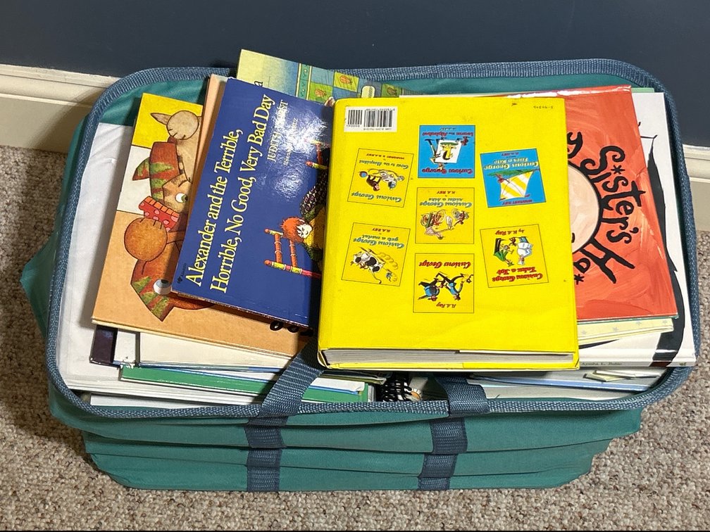 Green Fabric Bin with Children's Books, 3-Ring Binders, Textbooks, More
