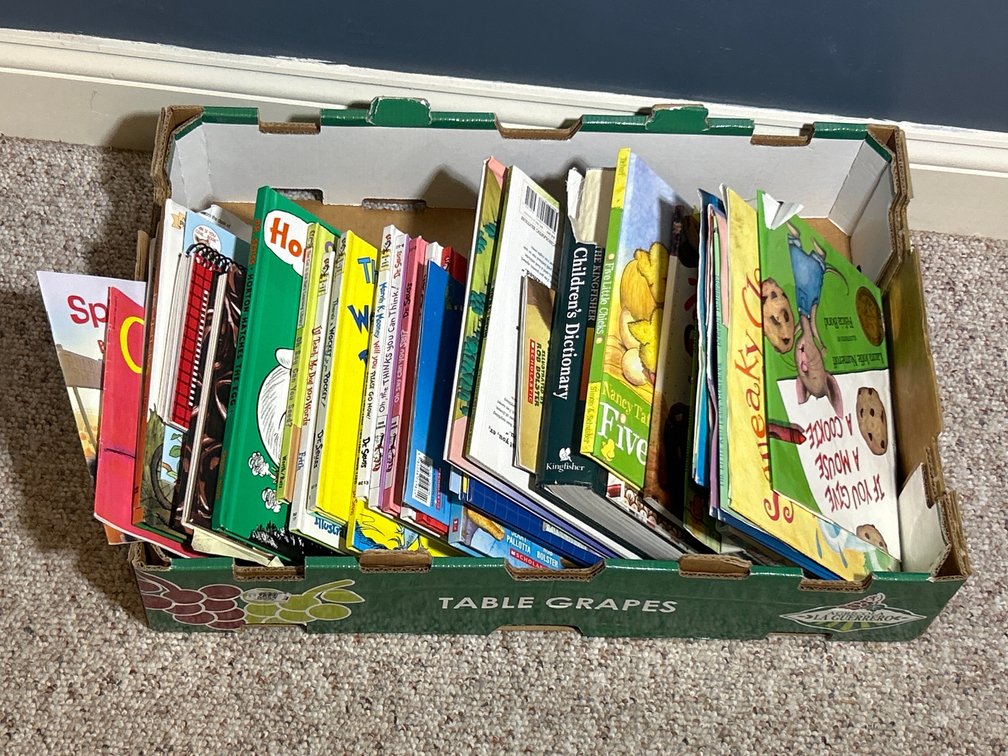 Books Lot- Children's Titles