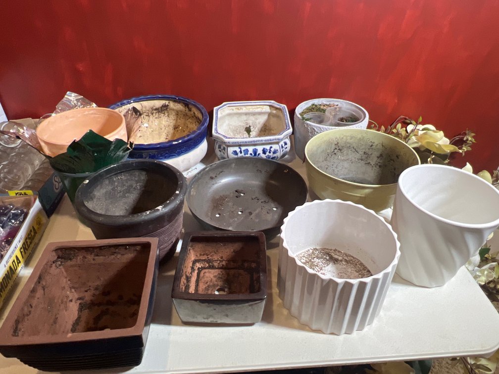 Planter Variety Lot