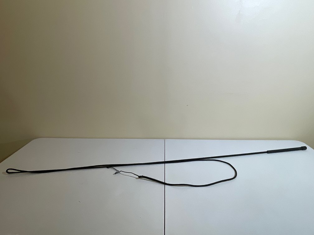 Carriage Driving Pair Horse Whip